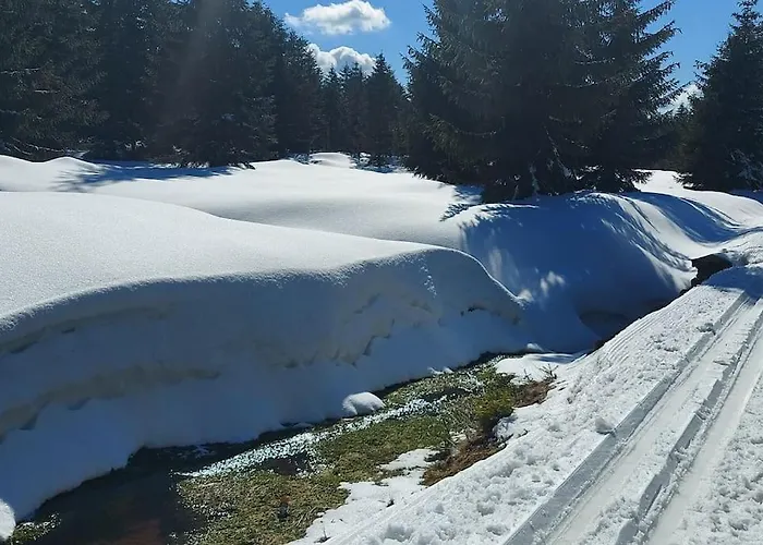 Comfort Stone Hill *