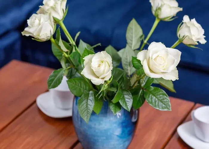 Comfort Stone Hill 아파트